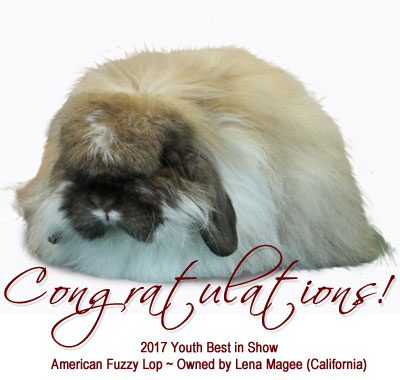 Congratulations to all Youth winners and the 2017 Youth Best in Show -Lena Magee - California