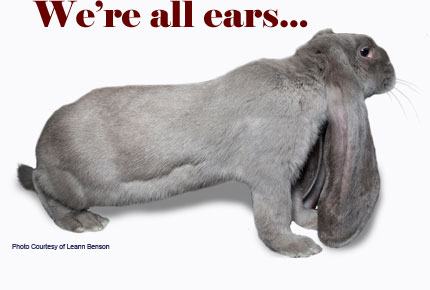 We're all Ears...Photo courtesy of Leann Benson