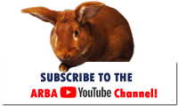 Subscribe to the ARBA YouTube Channel!