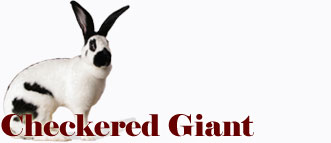 Checkered Giant