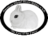 American Dwarf Hotot Rabbit Club