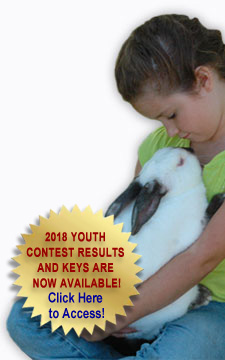 Young girl with Californian rabbit