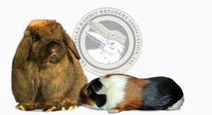 American RabbitBreeders Association, Inc.